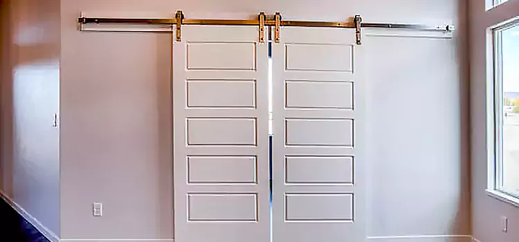 Glass Barn Door with Installation Hardware Kit Centreville