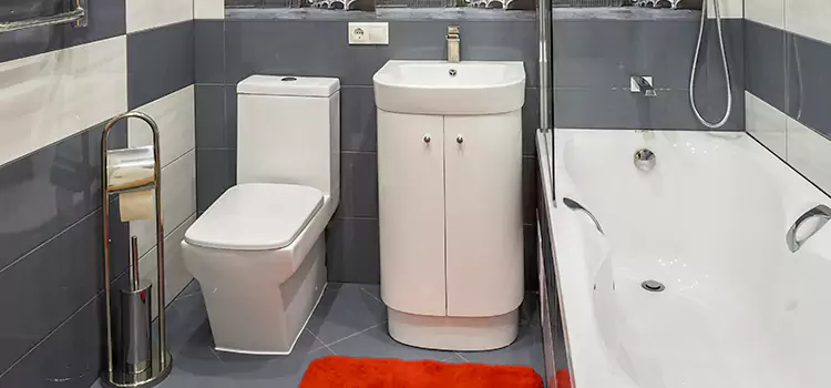 Hansgrohe Shaving Mirror Centreville
